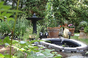 #Garden #Plant #Plants #Kwiatki #Kwiatek #Tree #Lead #Flora #Grass #Private #Tala #Nature #Wilderness #Yard #Pond #Fountain #begonia #tulip #seed #seedling #dirt #meditation #meditative