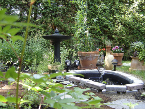 #Garden #Plant #Plants #Kwiatki #Kwiatek #Tree #Lead #Flora #Grass #Private #Tala #Nature #Wilderness #Yard #Pond #Fountain #begonia #tulip #seed #seedling #dirt #meditation #meditative
