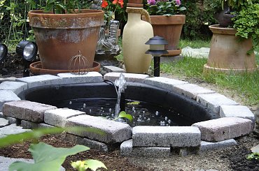 #Garden #Plant #Plants #Kwiatki #Kwiatek #Tree #Lead #Flora #Grass #Private #Tala #Nature #Wilderness #Yard #Pond #Fountain #begonia #tulip #seed #seedling #dirt #meditation #meditative