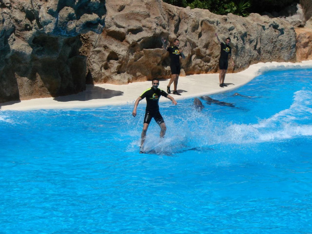 jazda na delfinach :D DELFIN SHOW -Loro Parque w Puerto de la Cruz