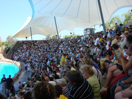 ale publika się zebrała :D DELFIN SHOW -Loro Parque w Puerto de la Cruz