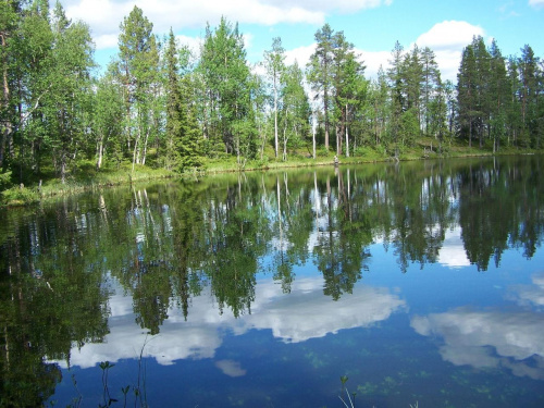 Jeziorko w lesie - Laponia