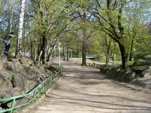 Park Wilsona