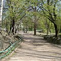 Park Wilsona