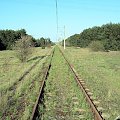 Między Bydgoszcz Brdyujście a Bydgoszcz Akademia. W stronę Fordonu.