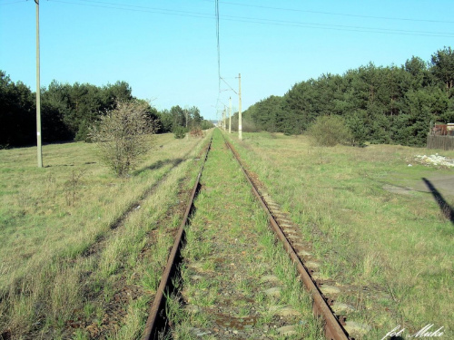 Między Bydgoszcz Brdyujście a Bydgoszcz Akademia. W stronę Fordonu.