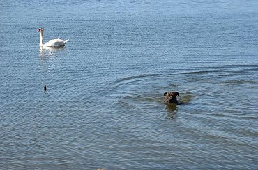 #OkoliceOlsztyna #Bartążek #Bartąg #pole #konie #rower #jeziora #Warmia #mazury #PunktWidokowy #trawa #zieleń