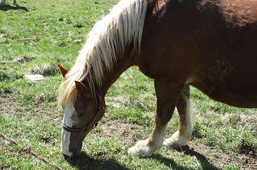 #OkoliceOlsztyna #Bartążek #Bartąg #pole #konie #rower #jeziora #Warmia #mazury #PunktWidokowy #trawa #zieleń