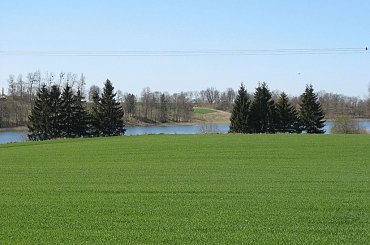 #OkoliceOlsztyna #Bartążek #Bartąg #pole #konie #rower #jeziora #Warmia #mazury #PunktWidokowy #trawa #zieleń