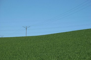 #OkoliceOlsztyna #Bartążek #Bartąg #pole #konie #rower #jeziora #Warmia #mazury #PunktWidokowy #trawa #zieleń