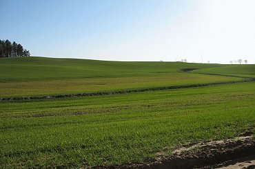 #OkoliceOlsztyna #Bartążek #Bartąg #pole #konie #rower #jeziora #Warmia #mazury #PunktWidokowy #trawa #zieleń