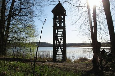 #OkoliceOlsztyna #Bartążek #Bartąg #pole #konie #rower #jeziora #Warmia #mazury #PunktWidokowy #trawa #zieleń