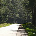 Okolice Wiartla i Lipy Przedniej #PuszczaPiska #Rower #Remes #OkoliceWiartla #Mazury #OkoliceWiartlaILipyPrzedniej