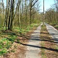Ścieżka rowerowa do Zakładów Azotowych #las #Puławy #Azoty