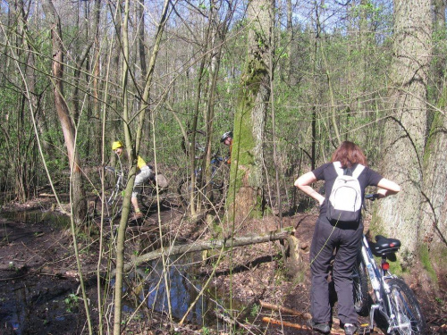 Wycieczka rowerowa przez kampinos grupy hc