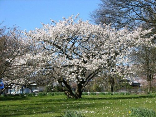 westfalen park - dortmund