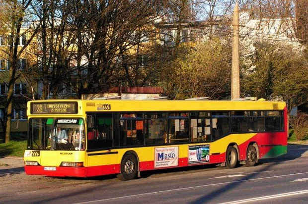 Lublin, ul. Zana. Neo wygrzewa się w wiosennym słoneczku.