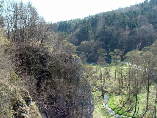 Widok na dolinę Sąspowską