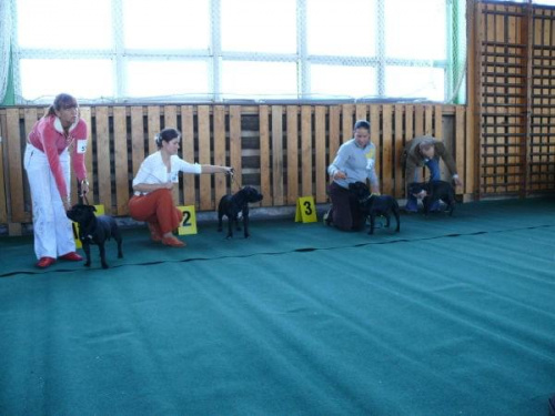 Grudziądz 2007