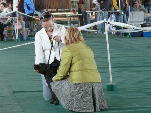 Grudziądz 2007