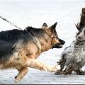 Trochę ciekawostek przyrody i nie tylko.