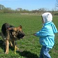 na szkoleniu i nie tylko #psy