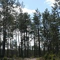 Puszcza Piska #PuszczaPiska #Pisz #Rower #Remes #Mazury