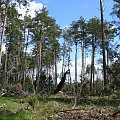 Puszcza Piska #PuszczaPiska #Pisz #Rower #Remes #Mazury