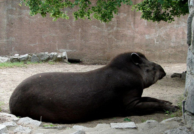 Moje ulubione miejsce na spacery ZOO