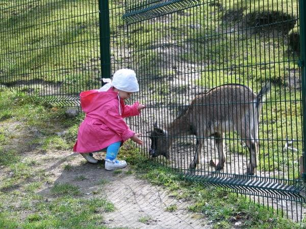 wyjazd do zoo :) 22.04.07