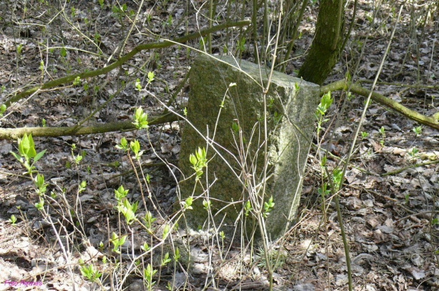 Cmentarz w Orłowie #CmentarzWOrłowie #Orłowo #Siegmunden #Mazury #Remes #Rower #MazurskieCmentarze