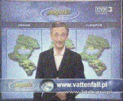 Pogoda TVP3 Katowice - bociany Vattenfall