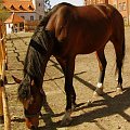 spacer niedziela