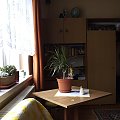 Stolik