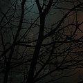 #mgła #noc #GraŚwiateł #mrok