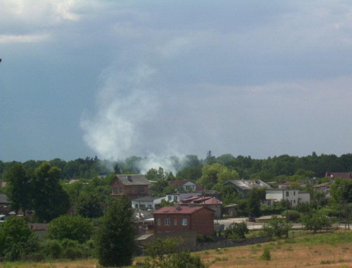 Koluszki, pożar poszycia lasu #Koluszki #pożar