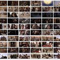 Monty Python - Life of Brian (Dvd Divx)