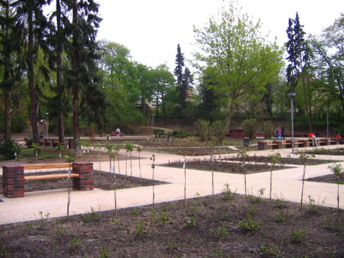 23.04.2007 - RÓŻANKA