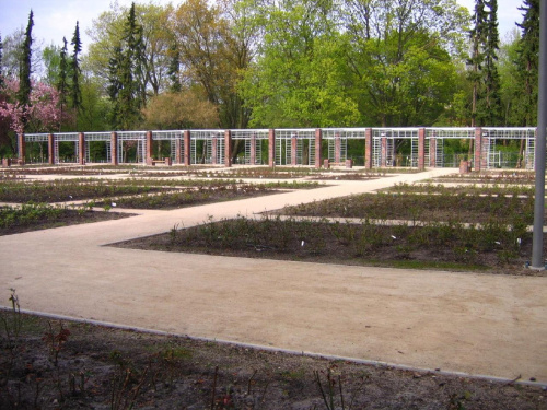 23.04.2007 - RÓŻANKA