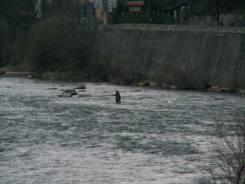 szcz