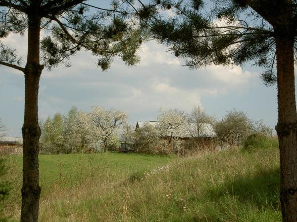 wszędzie kwiaty,niestety zapachu nie uda się sfotografowac