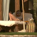 Ashley on vacation in Mexico -luty 2007