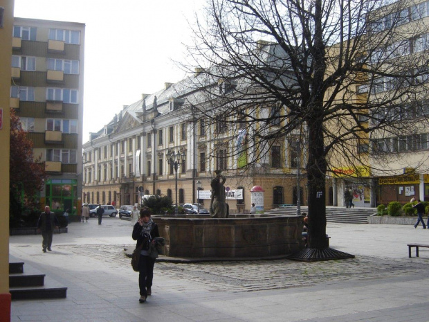 Legnica. Akadenia Rycerska