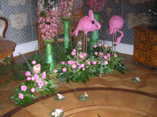 Wystawa kwiatów MAJ 2007