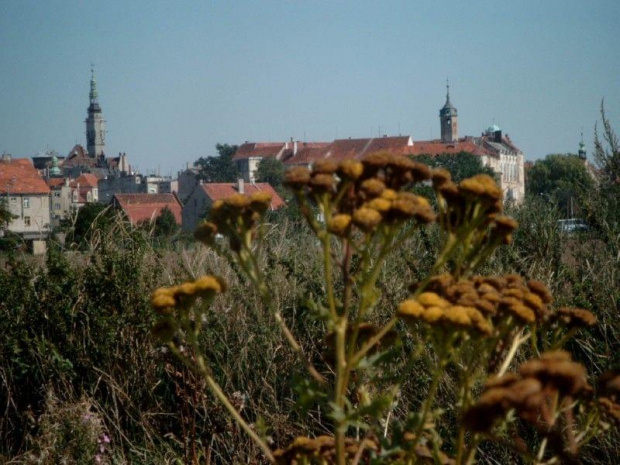 Jawor_Panorama #jawor #miasto #widok #zabytki #DolnyŚląsk