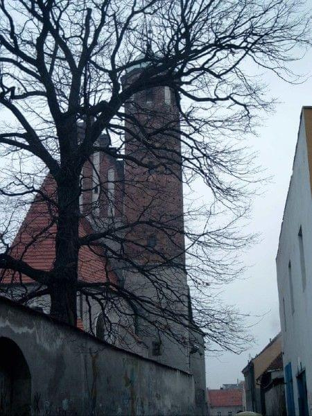 Jawor_klasztor #jawor #miasto #widok #zabytki #DolnyŚląsk