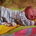 To chwilowo tygryski lubią najbardziej