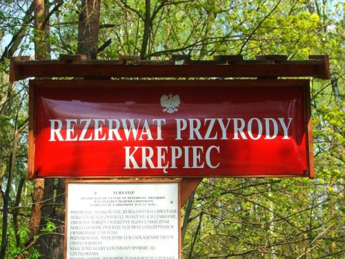 W Rezerwacie Przyrody Krępiec #Krępiec #rezerwat #PuszczaKozienicka