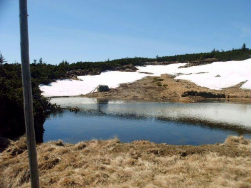 jeziorko z topniejącego śniegu na Równi .. #karpacz #praga #góry