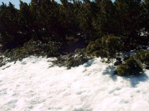 śnieg #karpacz #praga #góry